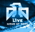 Birds of Pray